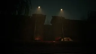 Reverie: Who will Remember You