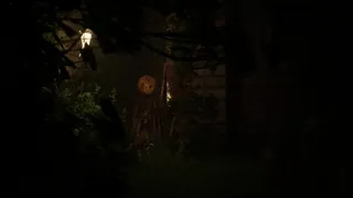 Reverie: Who will Remember You