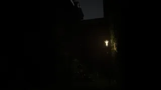 Reverie: Who will Remember You