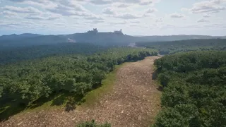 Honorbound: The Knight’s Tale