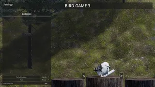 Скриншот 5 к игре Bird Game 5