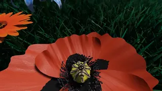 A little Jumpingspider's Garden Adventure (Day 1+2)