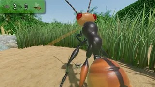 A little Jumpingspider's Garden Adventure (Day 1+2)