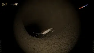 Скриншот 5 к игре A little Jumpingspider's Garden Adventure (Day 1+2)