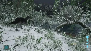 Evolution Of The Ancients