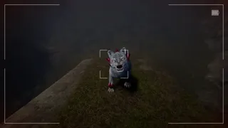 HorrorMon Photography