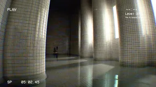 Level 37: The Ritewood Anomaly