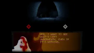 what did the chicken see