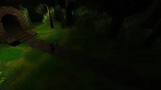 What the Healer Left Behind