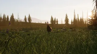 Скриншот 6 к игре Way of the Hunter 2
