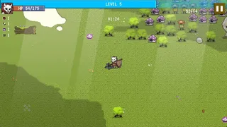 The Champions of Lootheim