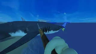 Where Are We Floating?