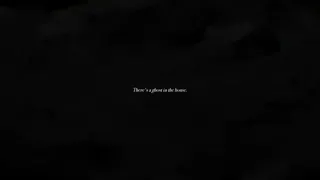 A Philosophical Discussion of Worms