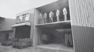 ノースウェステリアの子供