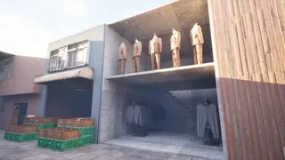 ノースウェステリアの子供