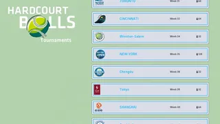 Скриншот 6 к игре Hardcourt Balls