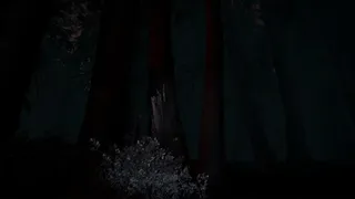 Скриншот 7 к игре Shroud of the Woods