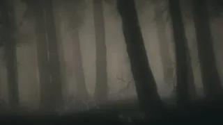 Скриншот 8 к игре Shroud of the Woods