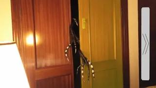 6-7 Nights At Vicente's