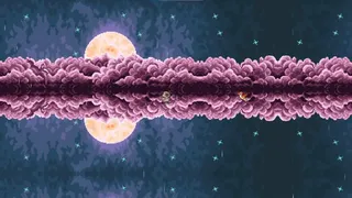 遗忘回响 Echo of Bark