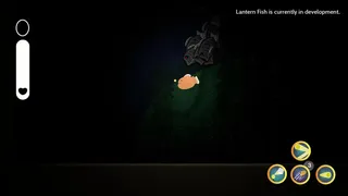 Lantern Fish
