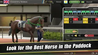 Скриншот 5 к игре iHorse G1 Leading Sire