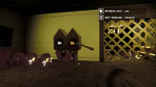 Have You Seen This Cat?