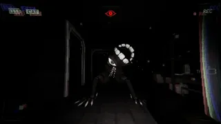 Have You Seen This Cat?