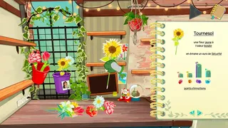 I can offer you Flowers