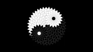 Goodbye Shadow: My Confessions