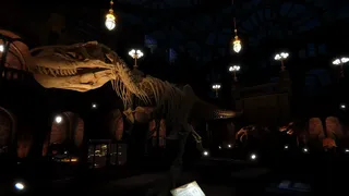 ARB: Anomalous Research Bureau - Museum