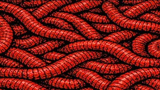 Cage in my head in my cage in my head in my