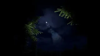 Recovered Occurrence