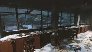 Beneath the Snow Veil