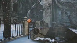 Beneath the Snow Veil