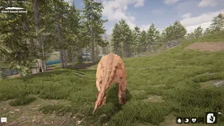 巨兽岛(恐龙岛6.0)