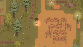 台灣特有種：丸心大發