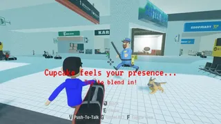 Airport Security Sucks!