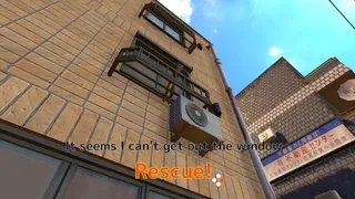 Rescue Over 100 Town Cats