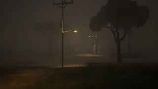 The Witch and The Lost Babies