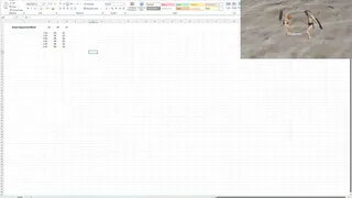 Second Monitor Gladiators