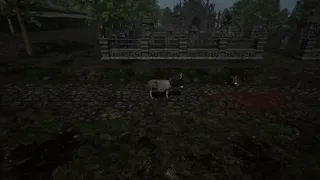 Скриншот 5 к игре Immortal Donkey: 1346