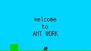 ANT WORK