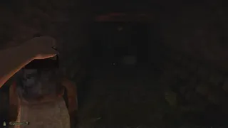 Скриншот 5 к игре CHWÆST: A Creeping Parasite Horror