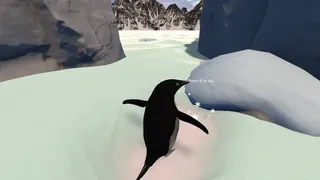 Just Keep Waddling: Nihilist Penguin