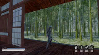 The Last Swordmaster