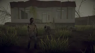 Isolated Island: After the flood