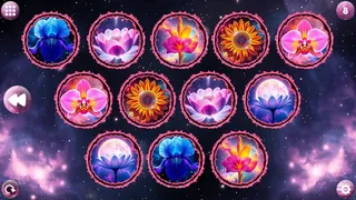 Скриншот 5 к игре Space Memory: Flowers