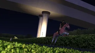 Скриншот 8 к игре TOP STEED