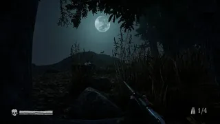 Скриншот 6 к игре Pale Hunt